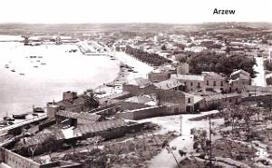 ARZEW 306